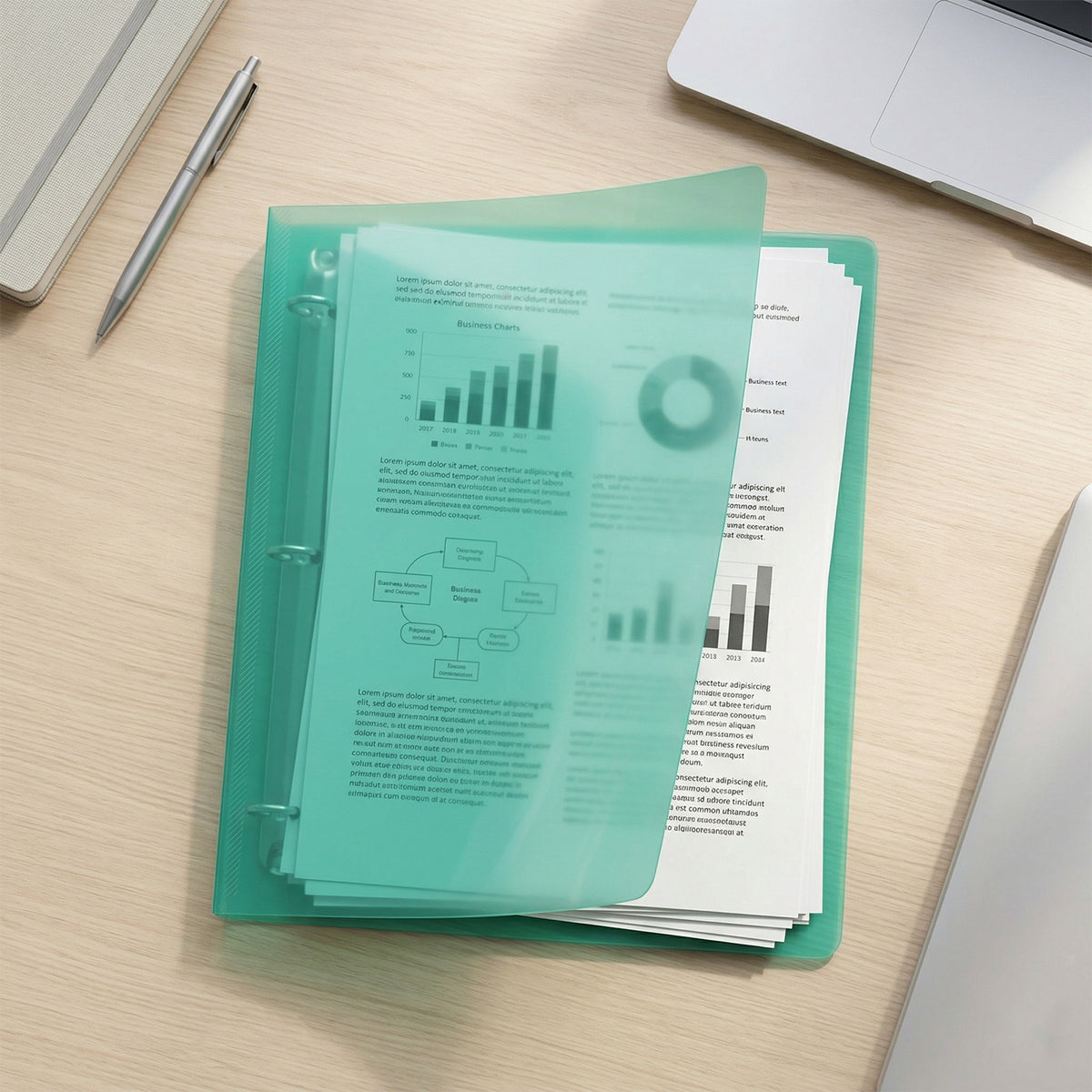 A4 Size Transparent Ring Binder Folder â Durable for Document Organization